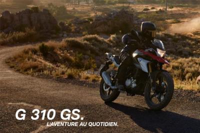 G 310 GS